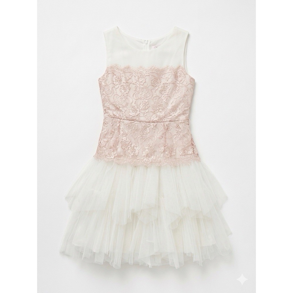 Chantilly Place Girls Size 14 Dress Pink Lace Drop Waist Tulle Formal Pageant